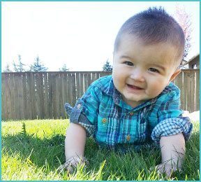 little bow outdoors in the grass with wooden fence behind him